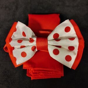 COPY - MEN'S ST. PATRICK BOW TIE & HANKY SET.